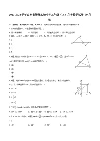 2023-2024学年山东省聊城实验中学九年级（上）月考数学试卷（9月份）（含解析）