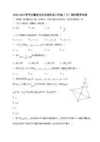 安徽省安庆市宿松县2022-2023学年八年级下学期期末考试数学试卷(含解析)