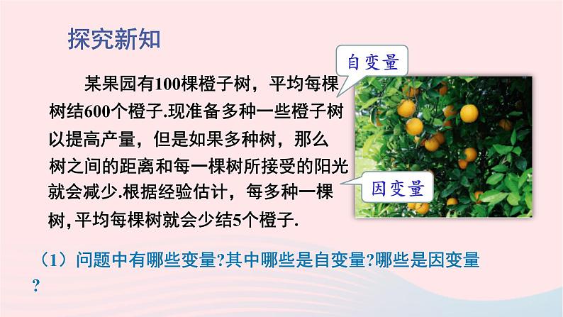 第二章二次函数1二次函数课件(北师大版九下)05