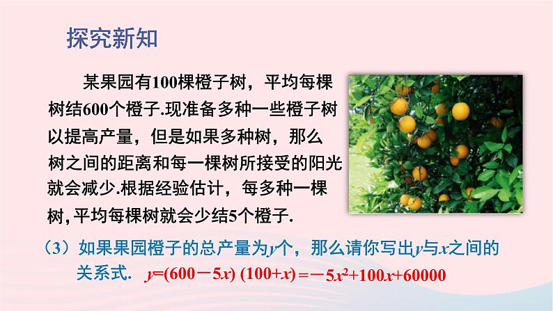 第二章二次函数1二次函数课件(北师大版九下)07