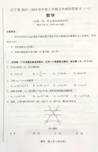 辽宁省沈阳市2023-2024学年九年级上学期10月月考数学试题