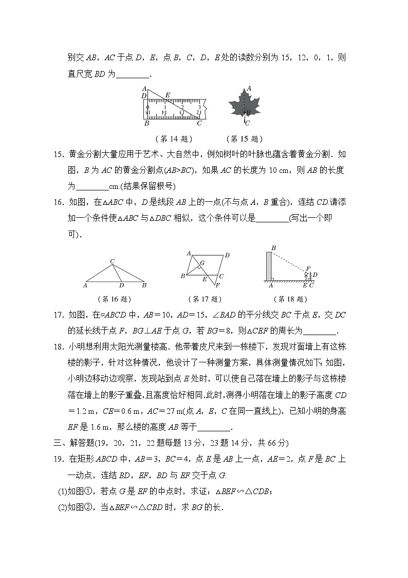 第23章 图形的相似 华东师大版数学九年级上册综合素质评价(含答案)第3页