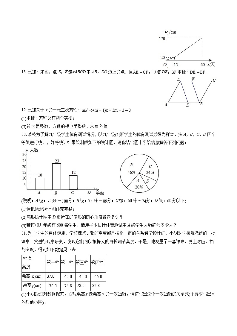 2022-2023学年北京市大兴区魏善庄中学八年级(下)期末数学试卷(含答案解析)第3页