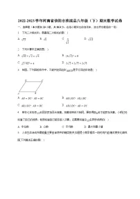 河南省信阳市淮滨县2022-2023学年八年级下学期期末考试数学试卷(含解析)