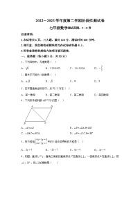 河南省驻马店市确山县2022-2023学年七年级下学期5月阶段性测试数学试卷(含解析)