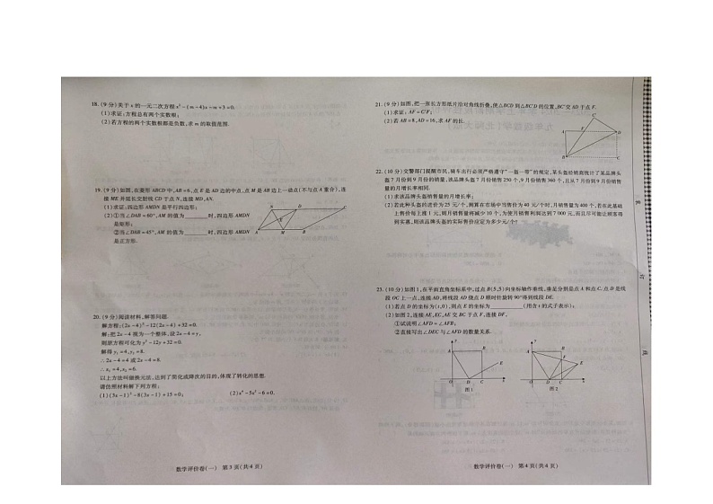 河南省周口市项城市2023-2024学年九年级上学期10月月考数学试题02
