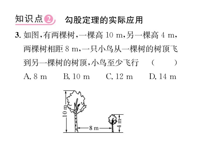 北师大版八年级数学上册第1章勾股定理1探索勾股定理第2课时  勾股定理的验证及其简单应用课时训练课件PPT06