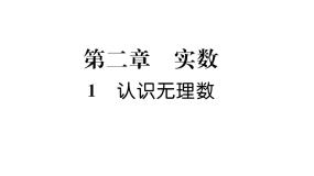 初中数学北师大版八年级上册1 认识无理数备课课件ppt