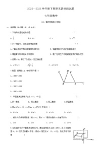 河南省驻马店市汝南县2022-2023学年七年级下学期7月期末数学试题