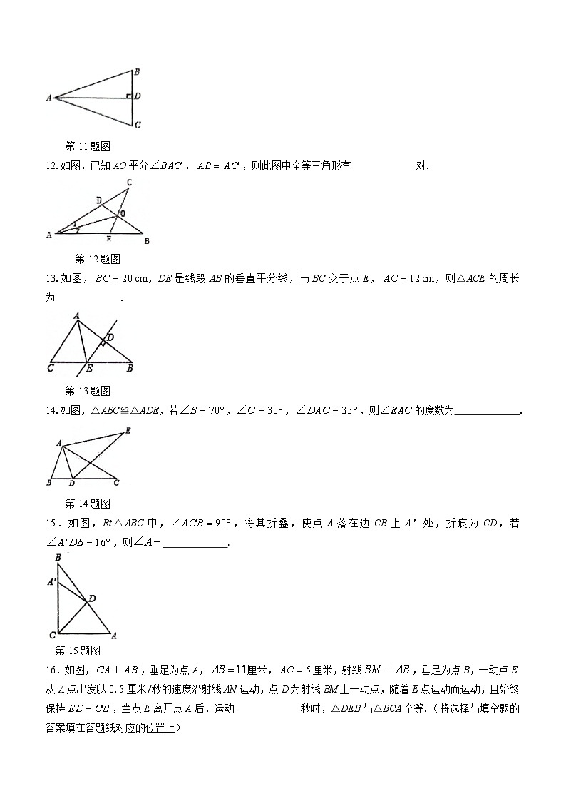 江苏省连云港市灌云县实验中学2023-2024学年八年级上学期10月月考数学试题第3页