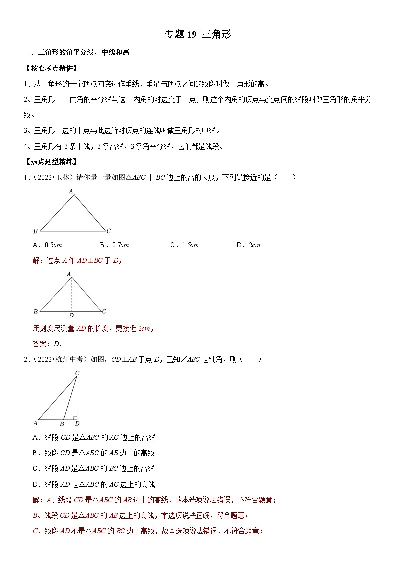 中考数学一轮复习核心考点精讲精练专题19 三角形(解析版)第1页