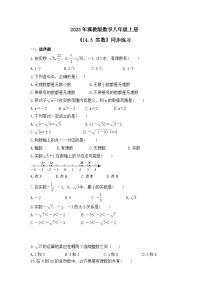 初中数学冀教版八年级上册14.3 实数优秀测试题