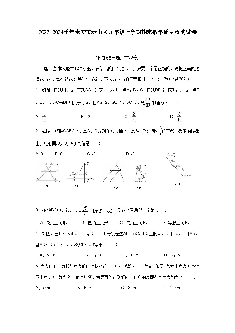 2023-2024学年泰安市泰山区九年级上学期期末数学质量检测试卷(含答案)第1页
