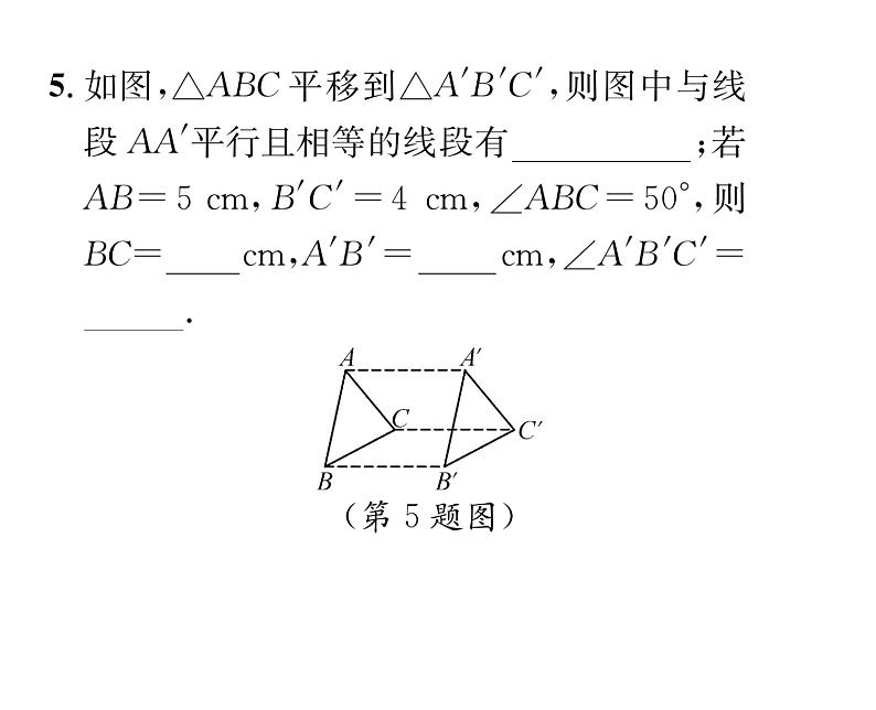 北师大版八年级数学下第三章图形的平移与旋转1图形的平移 第1课时 平移的认识课时训练课件PPT第6页