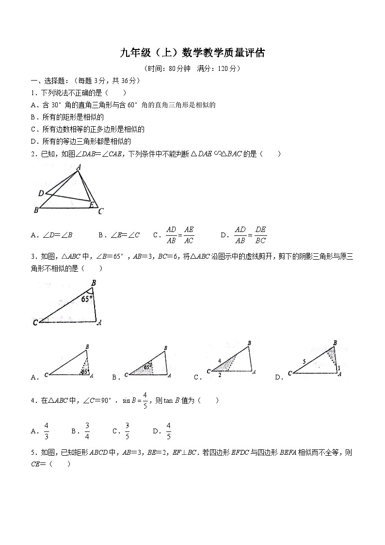 山东省聊城市高唐县第一实验中学2023-2024学年九年级上学期第一次学业水平评估月考数学试题(无答案)第1页