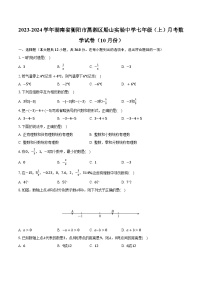2023-2024学年湖南省衡阳市蒸湘区船山实验中学七年级（上）月考数学试卷（10月份）（含解析)