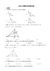 人教版2023年八年级上学期期中数学模拟试题二（附答案）