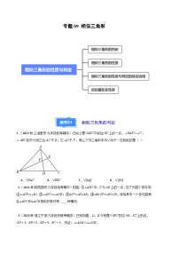 【期中真题】2023-2024学年九年级数学上册 期中真题分类专题汇编 专题09 相似三角形（四大题型）.zip