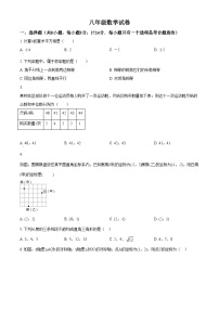 精品解析：陕西省宝鸡市渭滨区2021-2022学年八年级上学期期末数学试题