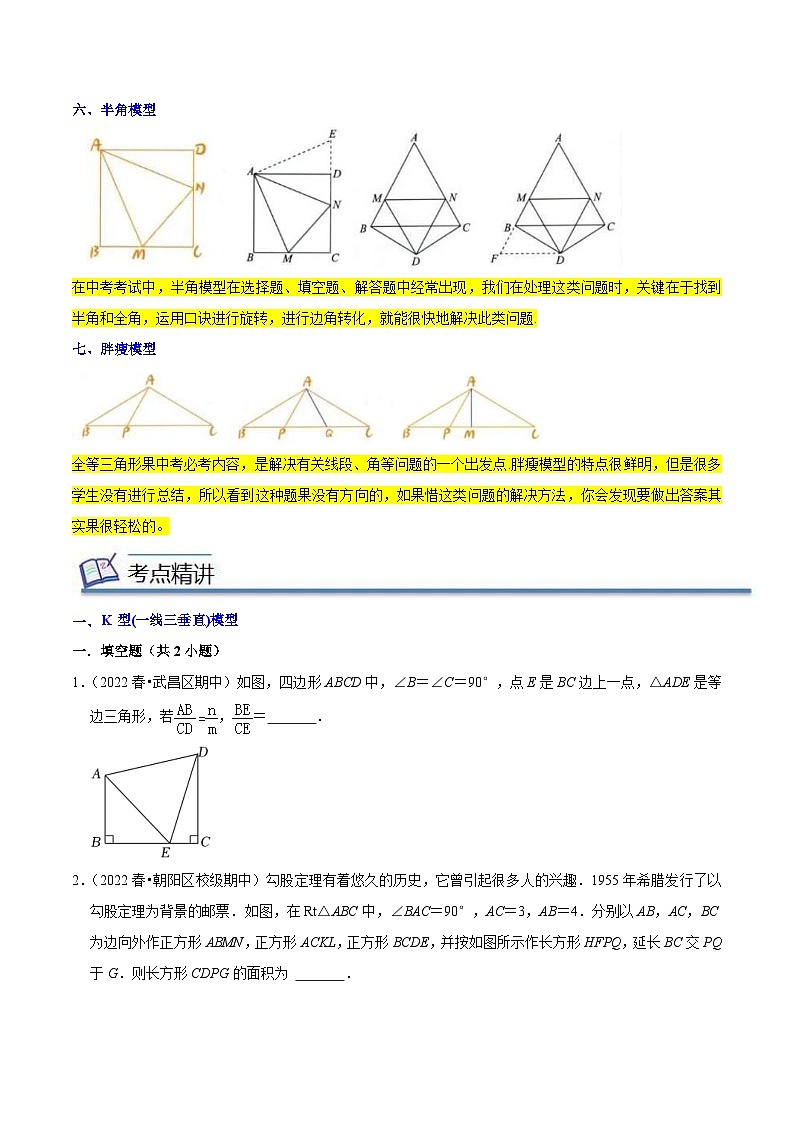 北师大版数学八年级下册考点梳理+精讲精练专题05 全等三角形七大模型(原卷版)第3页