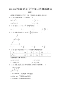 辽宁省丹东市第十九中学2023-2024学年九年级上学期10月月考数学试题