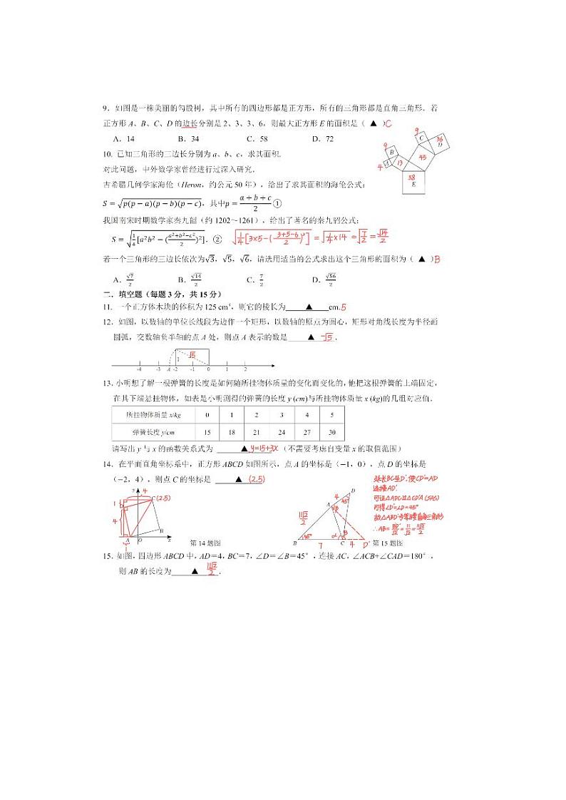 深圳市龙岗区百合外国语学校2023-2024学年八年级上学期期中考试数学试卷02