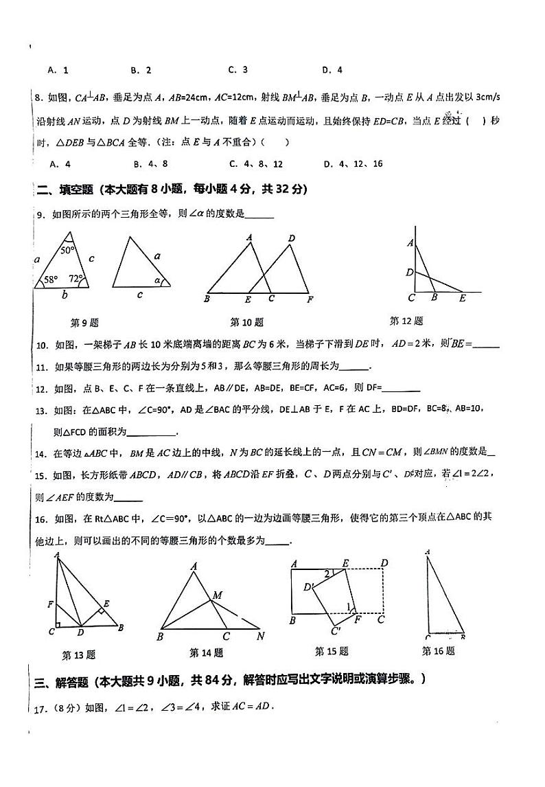 江苏省徐州市沛县第五中学2023-—2024学年八年级上学期11月月考数学试题第2页