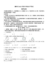 2023年山东省德州市中考数学真题