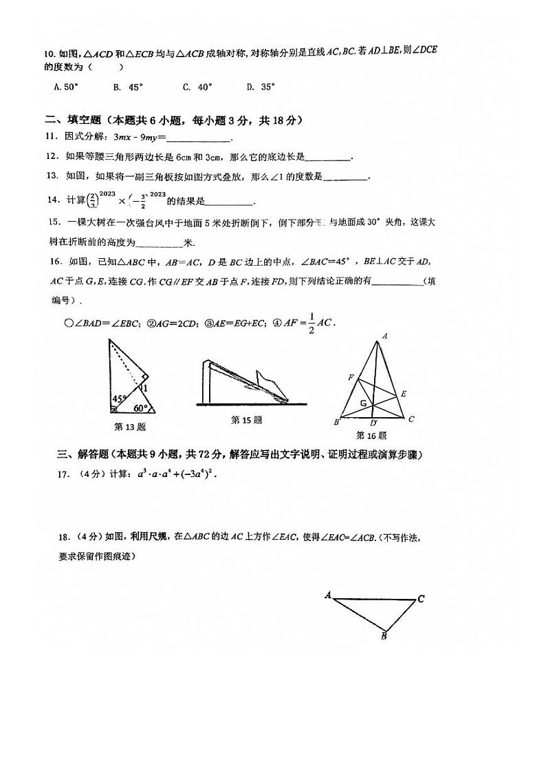 广东省广州市黄埔区黄埔军校纪念中学2023-2024学年八年级上学期期中数学试卷02