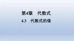 浙教版数学七年级上册 4.3 代数式的值（新作）课件