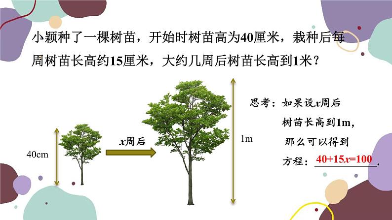 浙教版数学七年级上册 5.1 一元一次方程课件05