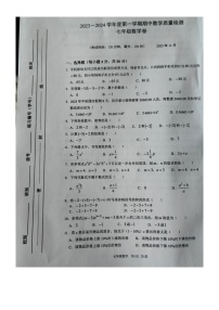 广西壮族自治区北海市合浦县2023-2024学年七年级上学期11月期中数学试题
