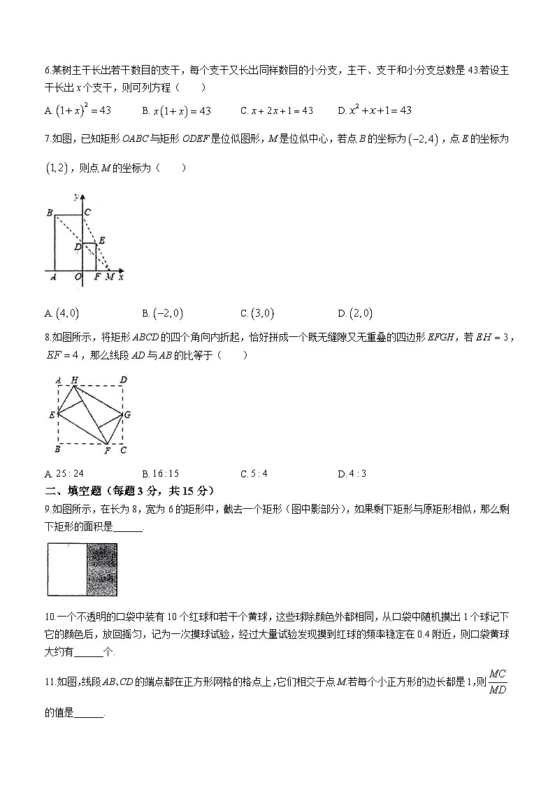 陕西省宝鸡市金台区第一中学2023-2024学年九年级上学期期中数学试题(无答案)第2页