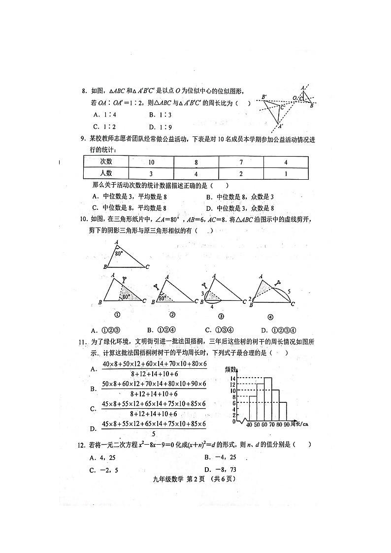 河北省 唐山市滦南县2023-2024学年上学期期中学业评估九年级数学试卷第2页