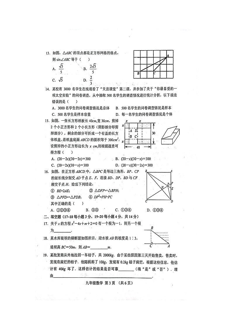河北省 唐山市滦南县2023-2024学年上学期期中学业评估九年级数学试卷第3页