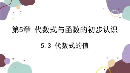 青岛版数学七年级上册 5.3 代数式的值课件