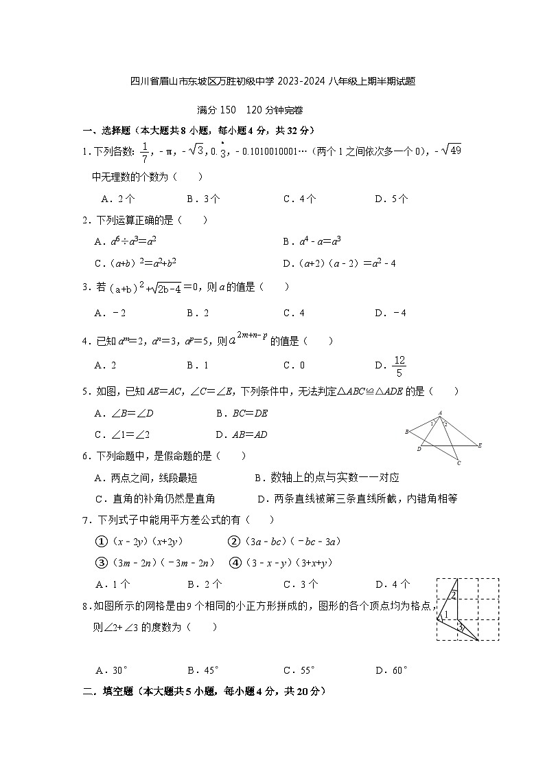 四川省眉山市东坡区万胜初级中学2023-2024学年八年级上学期期中数学试题01