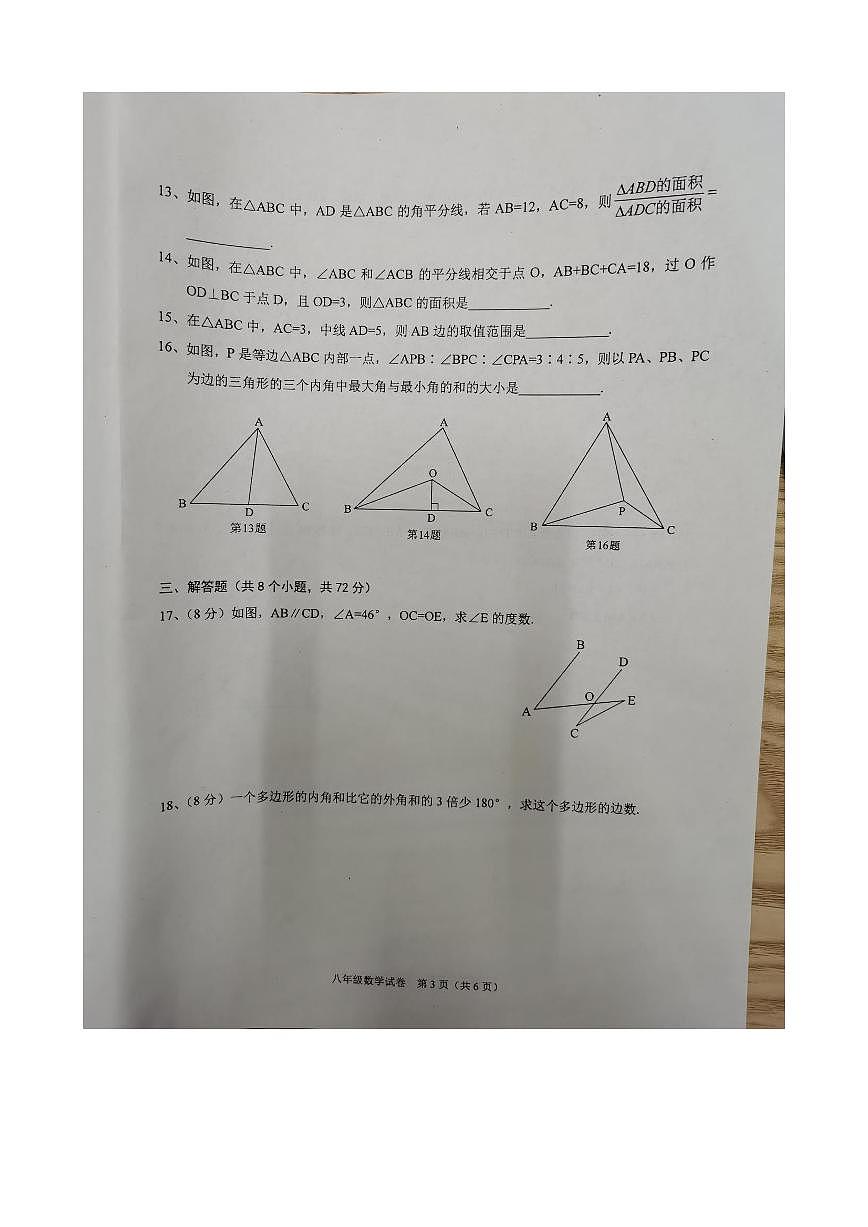 湖北省武漢市蔡甸區(qū)2023-2024學(xué)年八年級上學(xué)期期中考試數(shù)學(xué)試卷第3頁