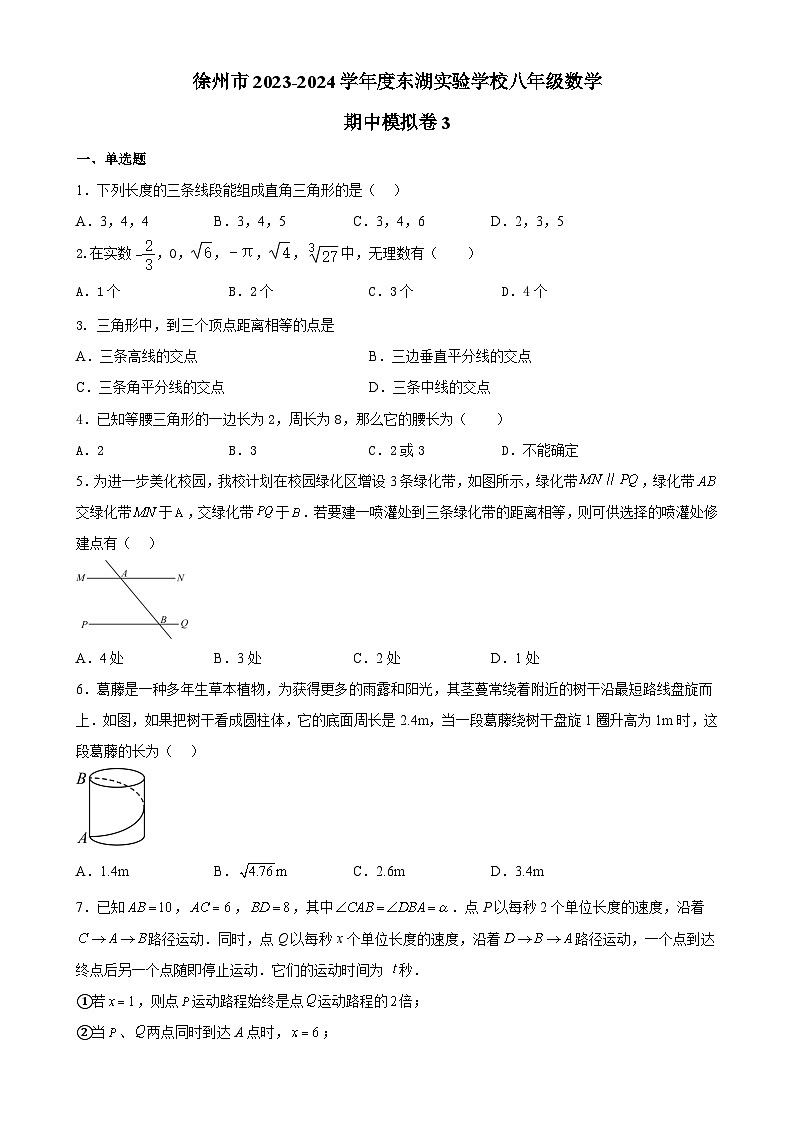 江苏省徐州市徐州经济技术开发区东湖实验学校2023-2024学年上学期八年级数学期中模拟卷第1页