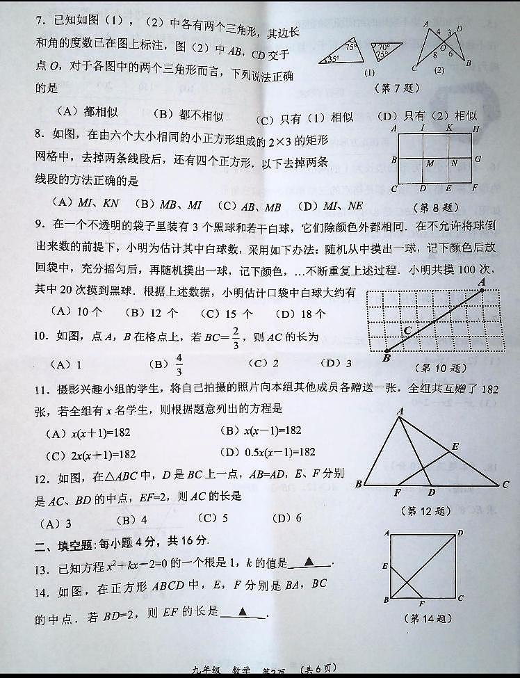 贵州省六盘水市水城区2023-2024学年九年级上学期11月期中数学试题第2页