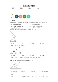 北京课改版八年级上册12.2 三角形的性质当堂达标检测题