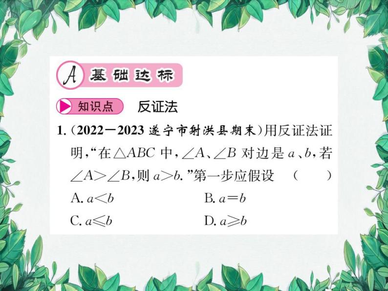 14.1.3 反证法 华东师大版八年级数学上册习题课件02