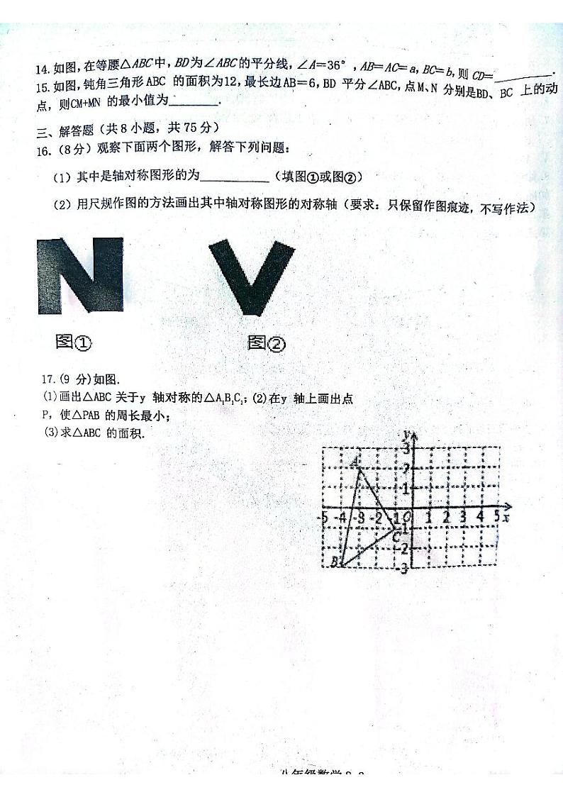 河南省信阳市淮滨县2023-2024学年八年级上学期11月期中数学试题03