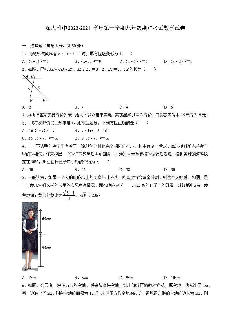 广东省深圳市南山区深圳大学附属中学2023-2024学年上学期九年级期中考试数学试卷01