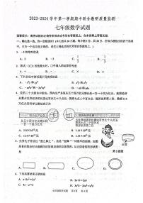 山东省枣庄市市中区2023-2024学年七年级上学期11月期中数学试题