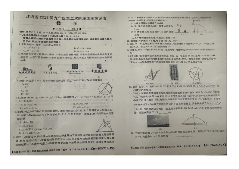 江西省赣州市大余县南安中学,左拔学校2023-2024学年九年级上学期11月期中数学试题第1页