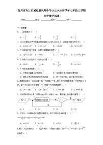 四川省内江市威远县凤翔中学2023-2024学年七年级上学期期中数学试题