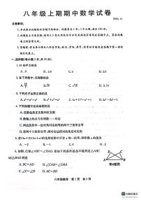 河南省新乡市辉县市2023-2024学年九年级上学期11月期中数学试题