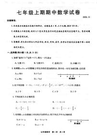 河南省新乡市辉县市2023-2024学年七年级上学期11月期中数学试题