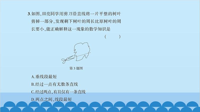 沪科版数学七年级上册第4章 直线与角习题课件05